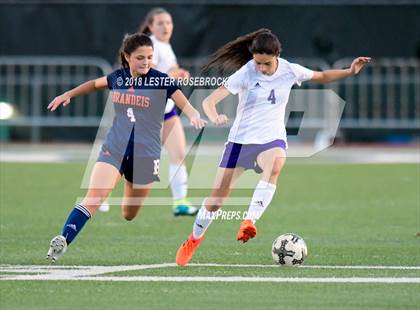 Thumbnail 3 in Warren @ Brandeis photogallery.