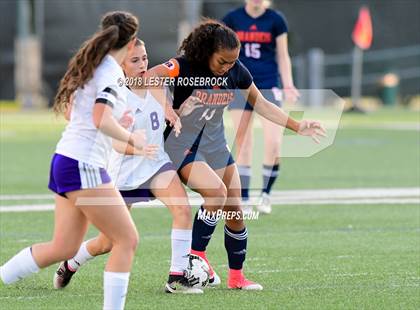 Thumbnail 2 in Warren @ Brandeis photogallery.