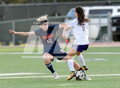 Thumbnail 3 in Warren @ Brandeis photogallery.