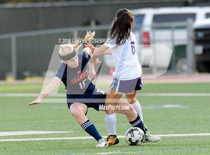 Thumbnail 1 in Warren @ Brandeis photogallery.