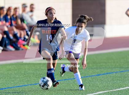 Thumbnail 2 in Warren @ Brandeis photogallery.