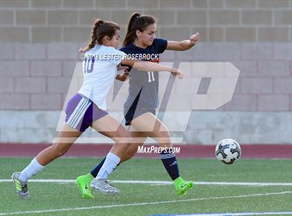 Thumbnail 1 in Warren @ Brandeis photogallery.