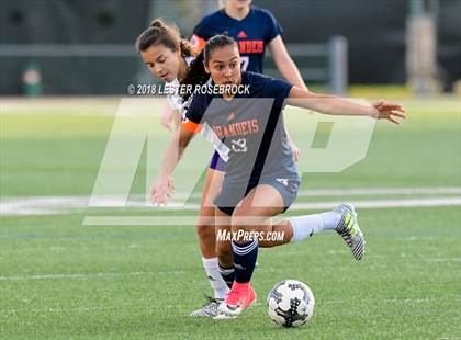 Thumbnail 1 in Warren @ Brandeis photogallery.