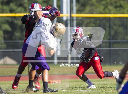 Thumbnail 2 in Sayville @ Bellport photogallery.