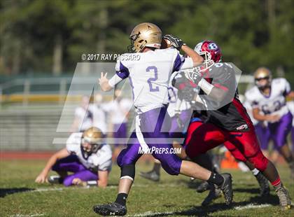 Thumbnail 1 in Sayville @ Bellport photogallery.