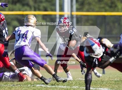 Thumbnail 2 in Sayville @ Bellport photogallery.