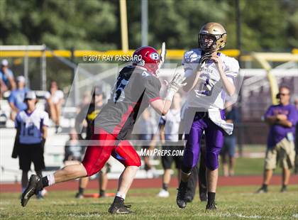 Thumbnail 3 in Sayville @ Bellport photogallery.