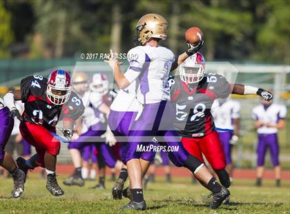 Thumbnail 2 in Sayville @ Bellport photogallery.