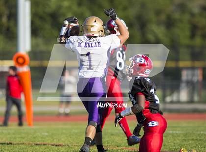 Thumbnail 3 in Sayville @ Bellport photogallery.