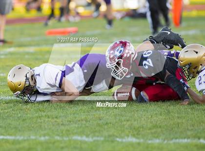 Thumbnail 2 in Sayville @ Bellport photogallery.