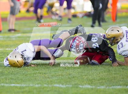 Thumbnail 3 in Sayville @ Bellport photogallery.