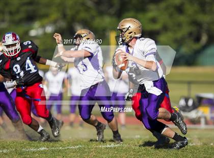 Thumbnail 2 in Sayville @ Bellport photogallery.