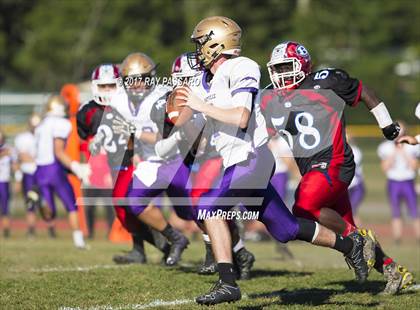 Thumbnail 1 in Sayville @ Bellport photogallery.