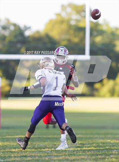 Thumbnail 1 in Sayville @ Bellport photogallery.