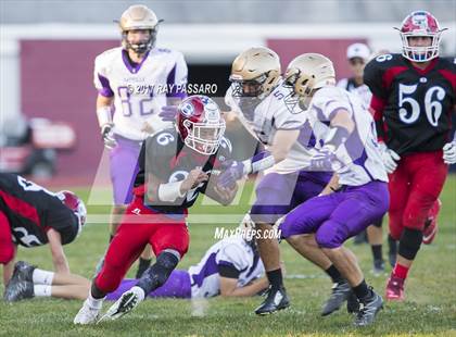 Thumbnail 2 in Sayville @ Bellport photogallery.