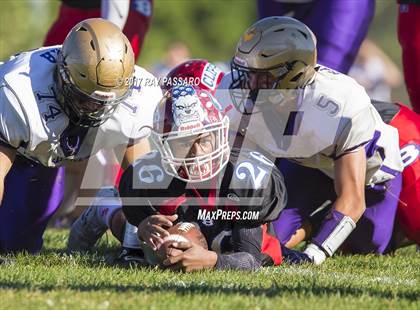 Thumbnail 2 in Sayville @ Bellport photogallery.