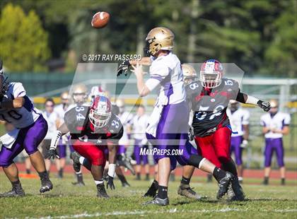 Thumbnail 3 in Sayville @ Bellport photogallery.