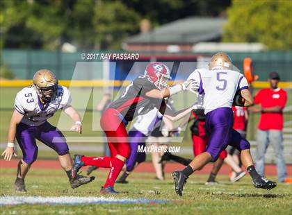 Thumbnail 3 in Sayville @ Bellport photogallery.