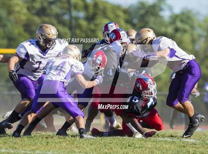 Thumbnail 3 in Sayville @ Bellport photogallery.