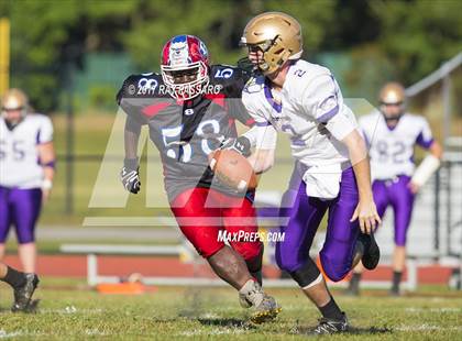 Thumbnail 3 in Sayville @ Bellport photogallery.