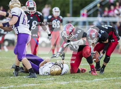 Thumbnail 3 in Sayville @ Bellport photogallery.