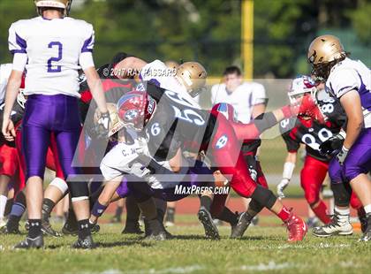 Thumbnail 3 in Sayville @ Bellport photogallery.