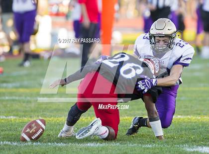 Thumbnail 3 in Sayville @ Bellport photogallery.