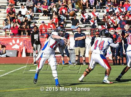 Thumbnail 3 in Joy Christian vs. Benson (AIA D5 Final) photogallery.