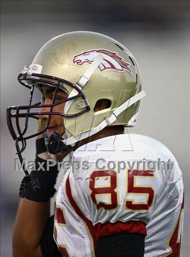 null - Photo 01