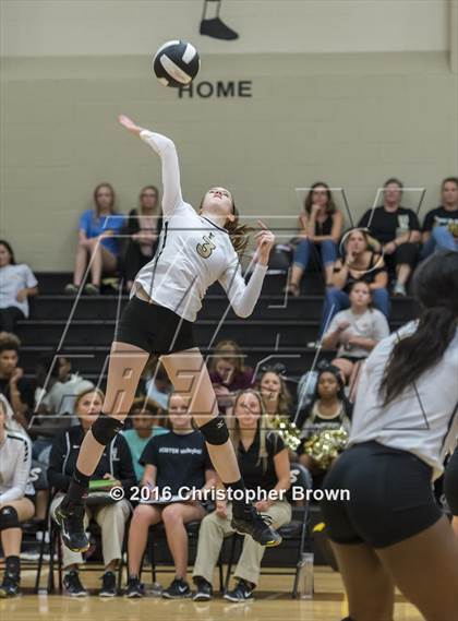Thumbnail 3 in Foster @ Seven Lakes photogallery.