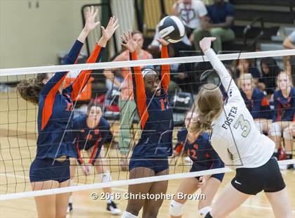Thumbnail 3 in Foster @ Seven Lakes photogallery.
