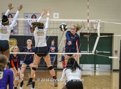 Thumbnail 1 in Foster @ Seven Lakes photogallery.