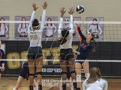 Thumbnail 1 in Foster @ Seven Lakes photogallery.