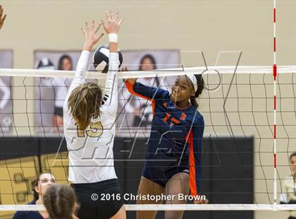 Thumbnail 1 in Foster @ Seven Lakes photogallery.
