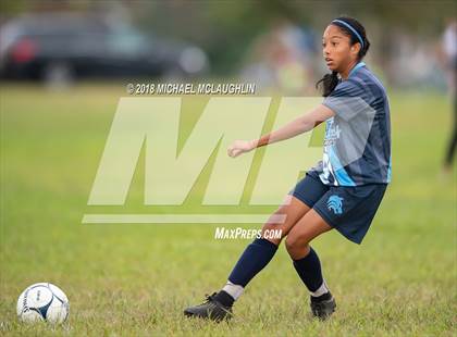 Thumbnail 3 in Cardozo @ Scholars Academy photogallery.