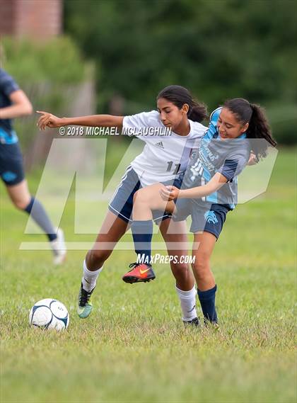 Thumbnail 1 in Cardozo @ Scholars Academy photogallery.