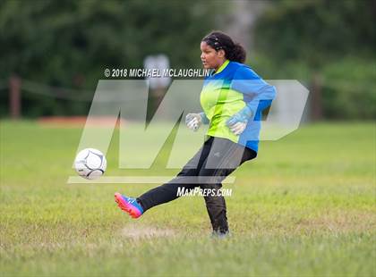 Thumbnail 3 in Cardozo @ Scholars Academy photogallery.