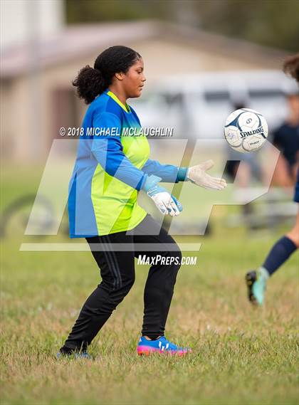 Thumbnail 2 in Cardozo @ Scholars Academy photogallery.