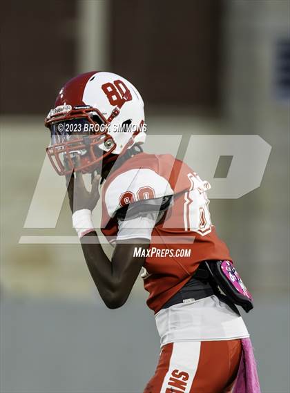 Thumbnail 3 in Cypress Springs @ Cypress Lakes photogallery.