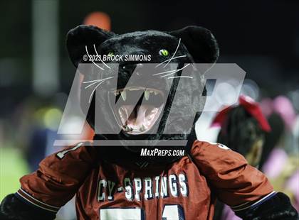 Thumbnail 3 in Cypress Springs @ Cypress Lakes photogallery.