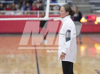 Thumbnail 1 in Allen @ Marcus (Marauder Showcase) photogallery.
