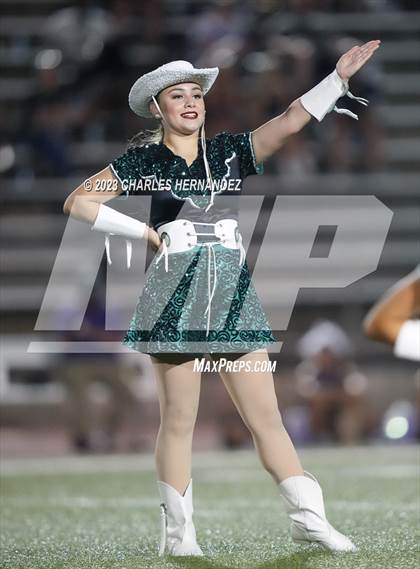 Thumbnail 3 in Willis @ Rudder photogallery.