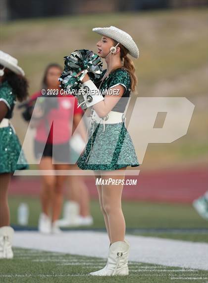 Thumbnail 3 in Willis @ Rudder photogallery.