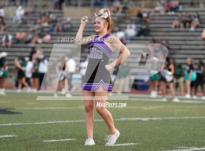 Thumbnail 3 in Willis @ Rudder photogallery.