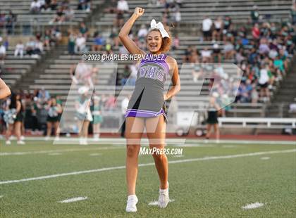 Thumbnail 1 in Willis @ Rudder photogallery.