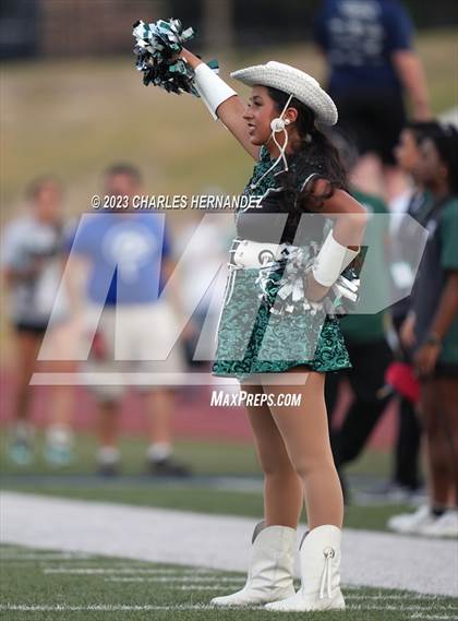 Thumbnail 2 in Willis @ Rudder photogallery.