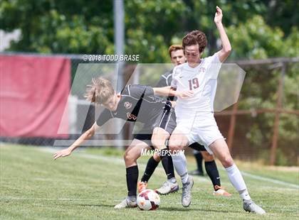 Thumbnail 2 in Maryville @ Dobyns-Bennett (TSSAA AAA Sectional Playoff) photogallery.
