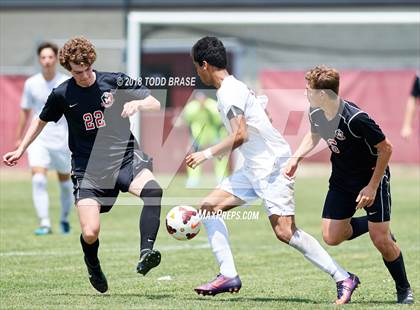 Thumbnail 3 in Maryville @ Dobyns-Bennett (TSSAA AAA Sectional Playoff) photogallery.