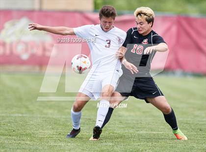 Thumbnail 2 in Maryville @ Dobyns-Bennett (TSSAA AAA Sectional Playoff) photogallery.