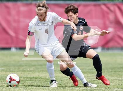 Thumbnail 1 in Maryville @ Dobyns-Bennett (TSSAA AAA Sectional Playoff) photogallery.